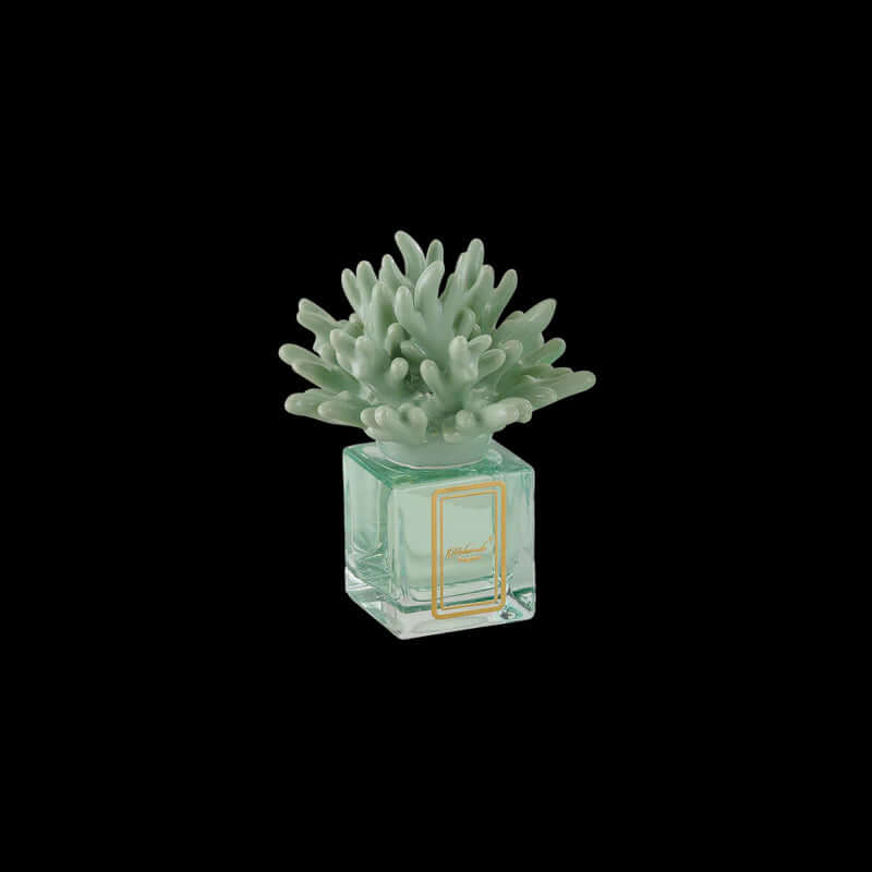 Profumatore 100 ML Melaverde Corallo  Porcellana