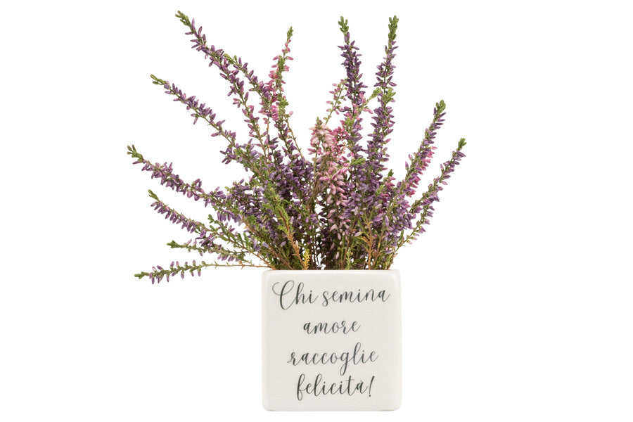 Porta piantine Harmony bianca Porcellana