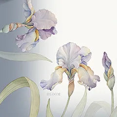 Tovaglia da Tavola x12 Tessitura Randi Lily – 150×270 cm – 100% Cotone