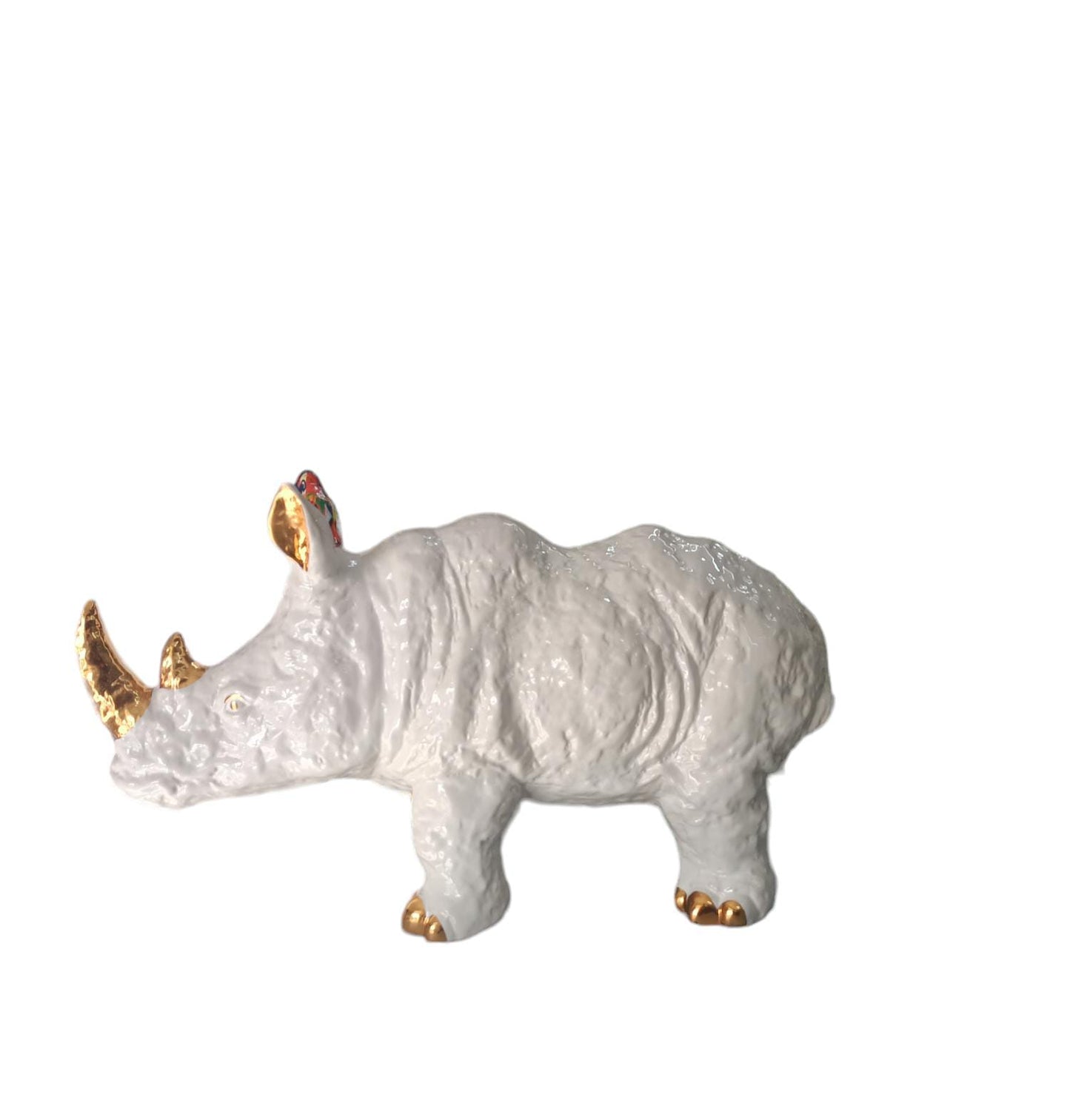 Rinoceronte Ardor Limoges