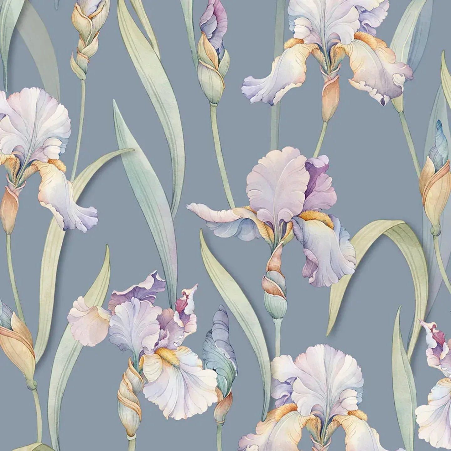 Completo Lenzuola Matrimoniale Lily in Raso di Cotone 300TC – Tessitura Randi - The King Luxury