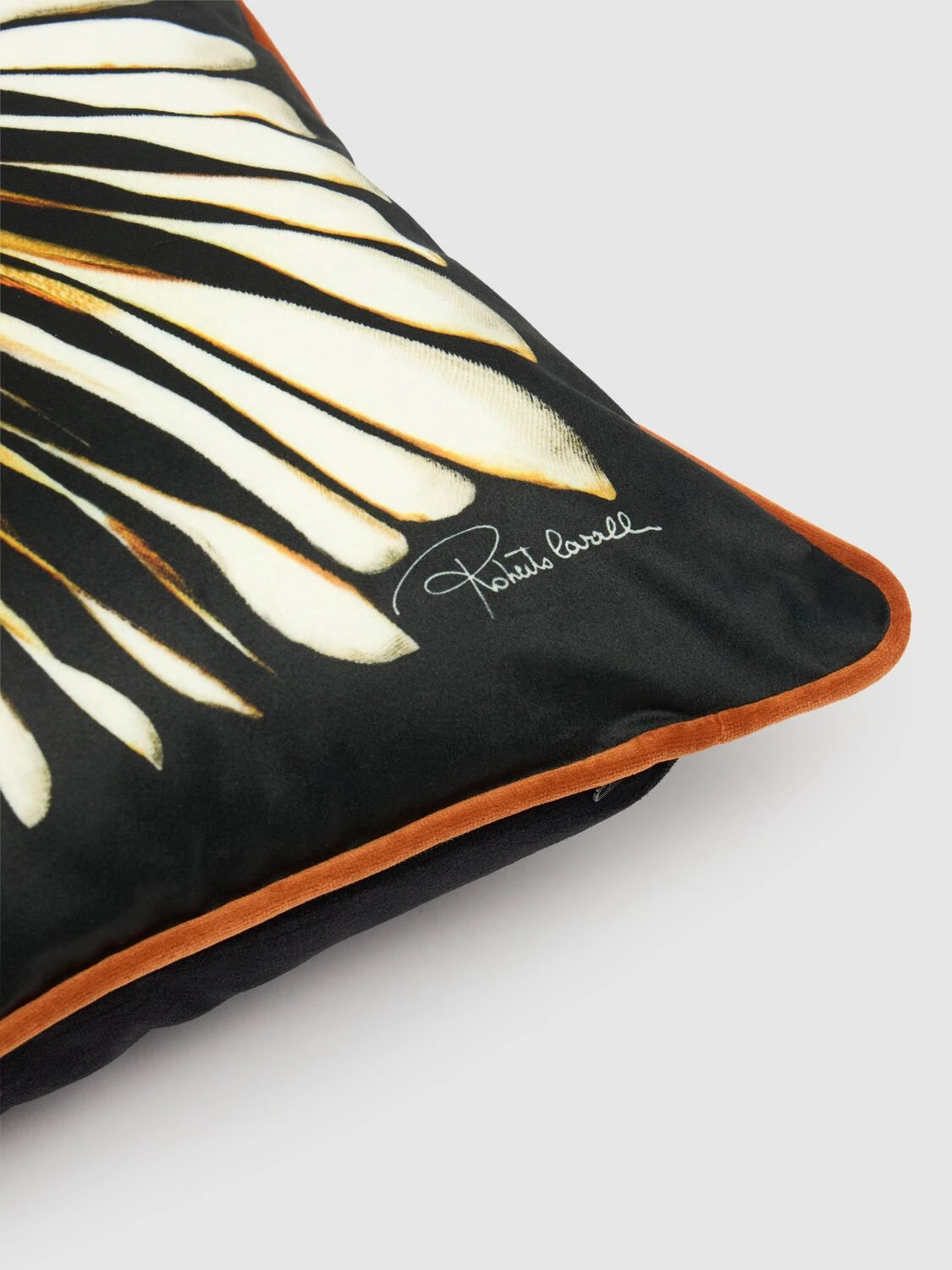 Cuscino Roberto Cavalli Ray Of Gold 40x40 cm Raso di Cotone