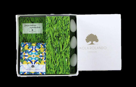 Box Giardino Paola Rolando Quadretti Grigio