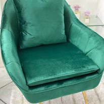 Poltrona Linea felicia Saturno  Velluto